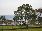 reIMG_4156.jpg
