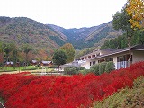 reIMG_4204.jpg
