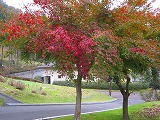 reIMG_4207.jpg