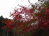 reIMG_4210.jpg