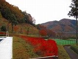 reIMG_4214.jpg