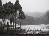 reIMG_4223.jpg