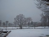 reIMG_4224.jpg