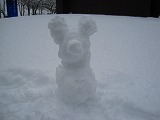reIMG_4251.jpg