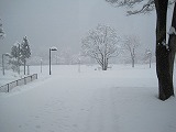reIMG_4333.jpg