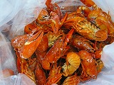 reIMG_4347.jpg