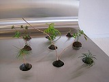 reIMG_4349.jpg