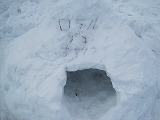 reIMG_4400.jpg