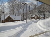 reIMG_yukimichi.jpg