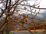 rereIMG_3603.jpg