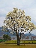 rereIMG_3618.jpg