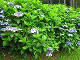 s-IMG_2704.jpg
