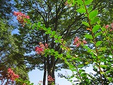 s-IMG_3026.jpg