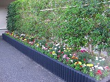 s-IMG_3034.jpg