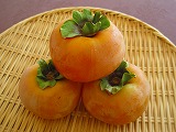 s-IMG_3090.jpg