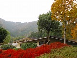s-IMG_3153.jpg