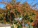 s-IMG_3188.jpg