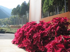 2012.11.8