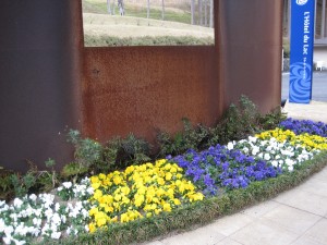 IMG_5646