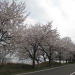 20130413