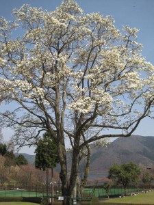 IMG_5664_R