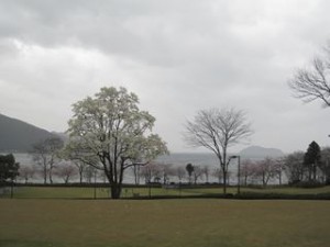 IMG_5674_R