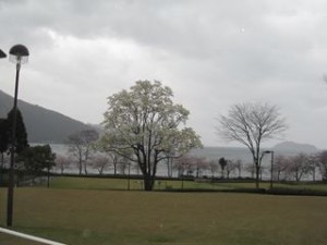 IMG_5675_R