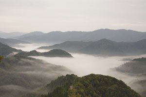 小入谷の雲海