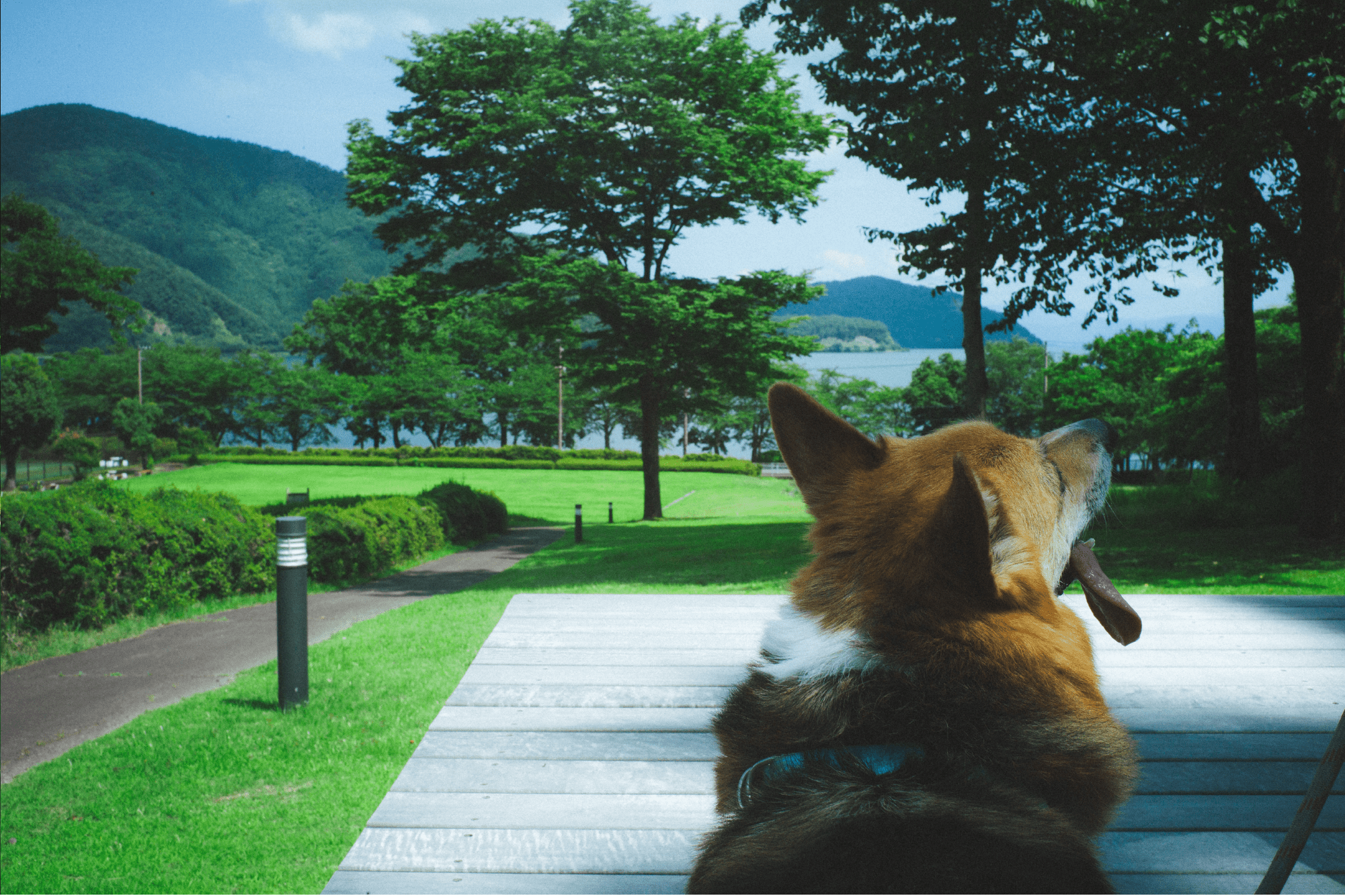 奥琵琶湖の大自然を独り占め 満天の星空、時には暗闇、本当の自然を感じる場所
